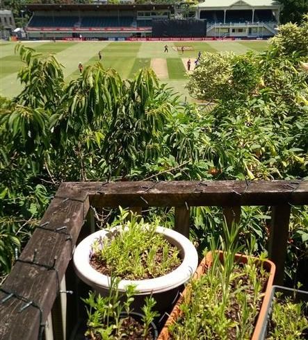  at 5/64 Sandringham Road, Mount Eden, Auckland City, Auckland