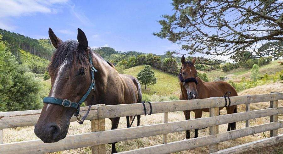  at 1007 Old Mountain Road, Raglan, Waikato, Waikato