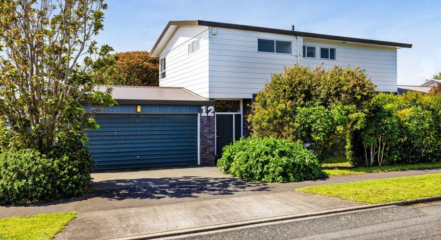  at 12 Erin Street, Hawera