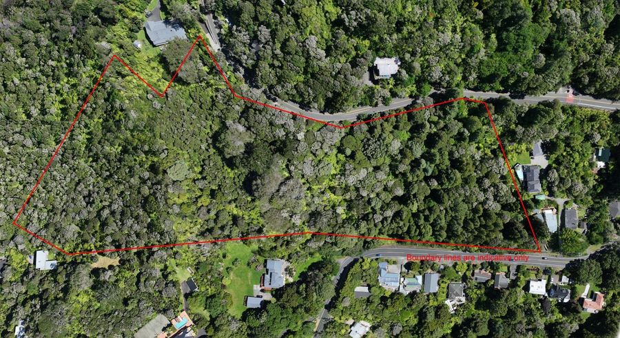  at 14 Scenic Drive, Titirangi, Waitakere City, Auckland