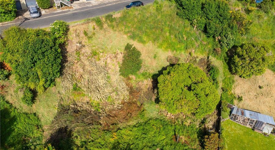  at 16 Aitken Place, Mornington, Dunedin, Otago