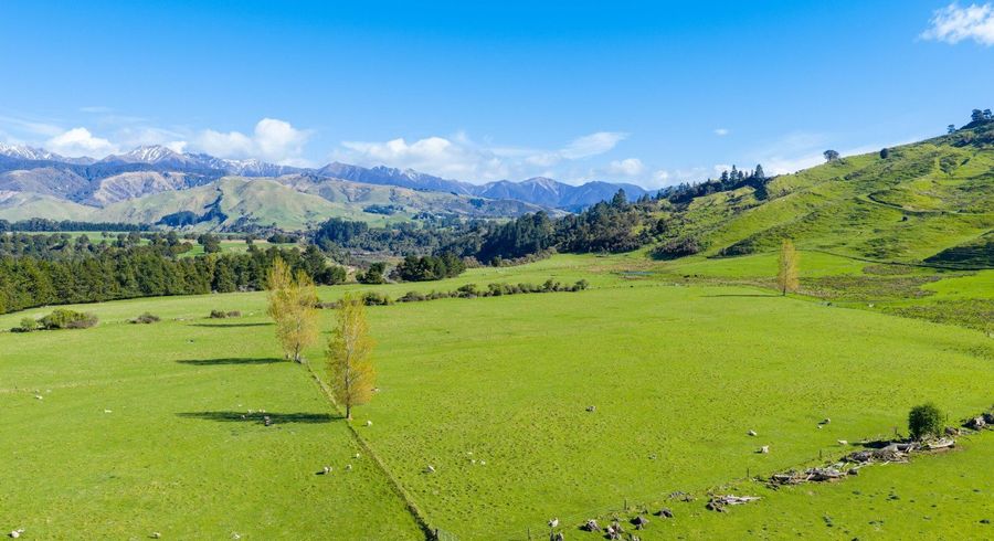  at 1139 Blackburn Road, Ongaonga, Central Hawke's Bay, Hawke's Bay