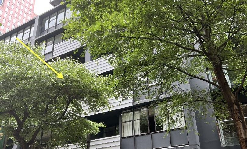  at 201/60 Willis Street, Wellington Central, Wellington, Wellington