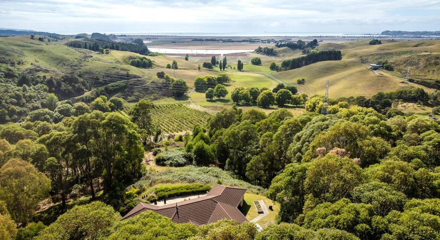  at 698 Puketitiri Road, Puketapu, Hastings, Hawke's Bay