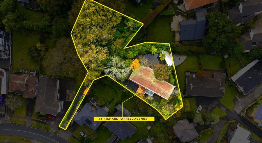 at 16 Richard Farrell Avenue, Remuera, Auckland