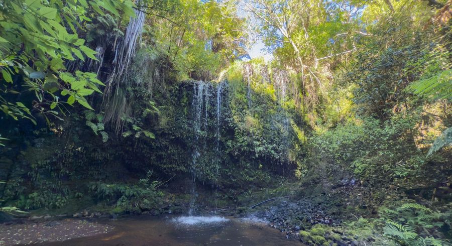  at 134 Pukewera Road, Waihi, Hauraki, Waikato