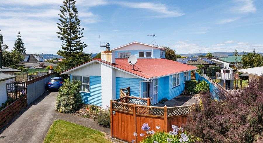  at 17 Piper Place, Roslyn, Palmerston North