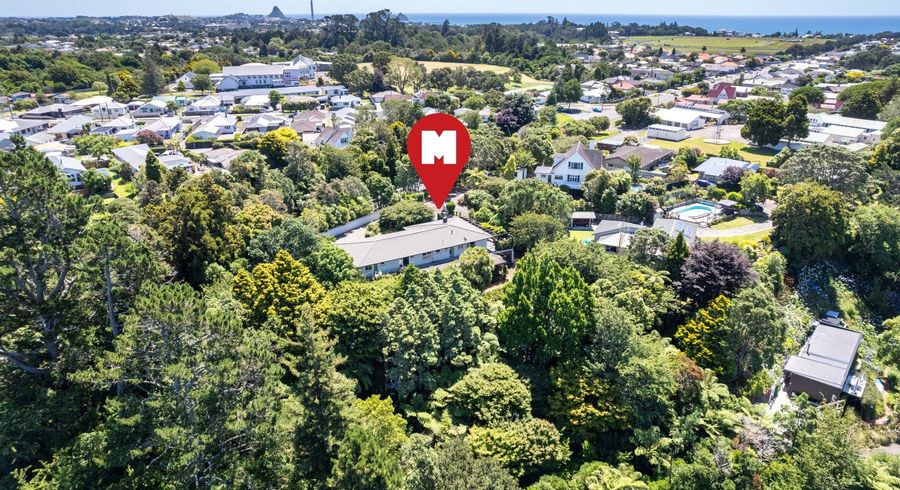  at 15 Welbourn Terrace, Welbourn, New Plymouth