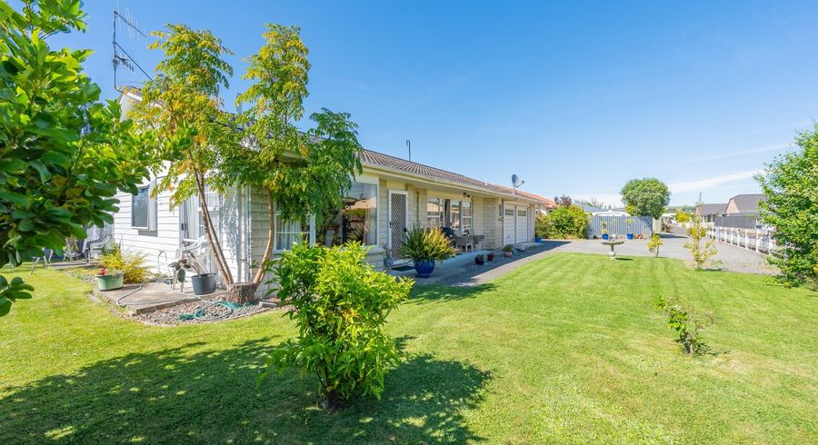  at 117 Auckland Road, Greenmeadows, Napier, Hawke's Bay