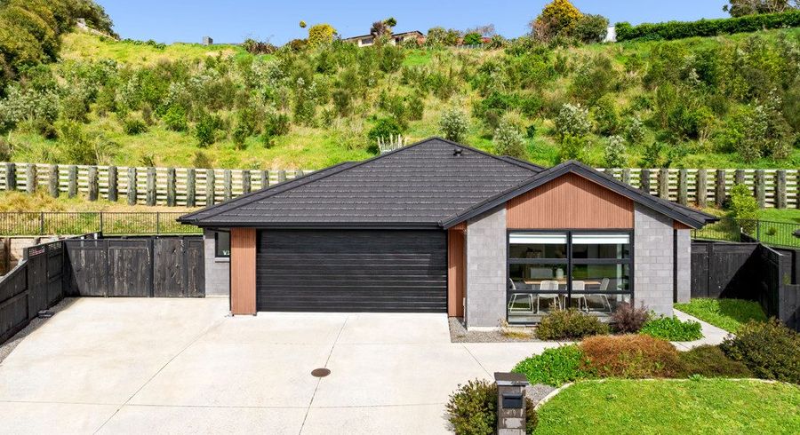  at 19 Kokopu Lane, Ohauiti, Tauranga, Bay Of Plenty