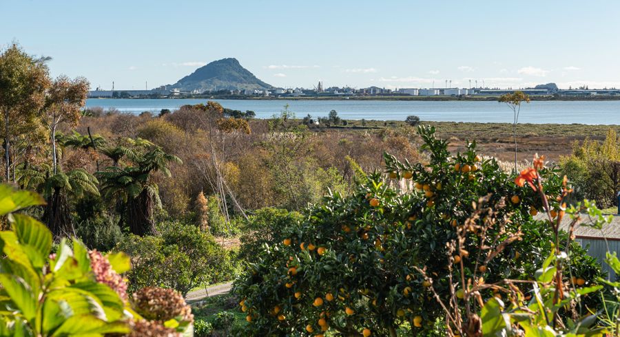  at 124 Matapihi Station Road, MATAPIHI, MOUNT MAUNGANUI