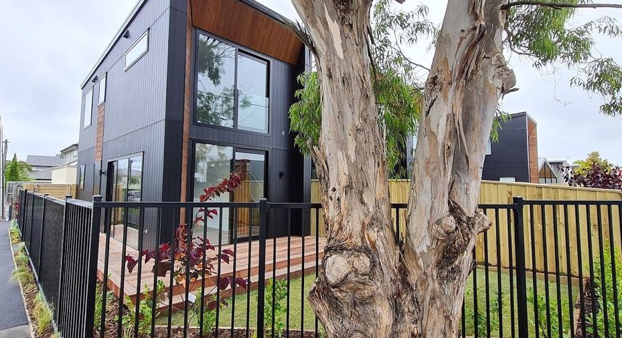  at 98 Canon St, St. Albans, Christchurch City, Canterbury