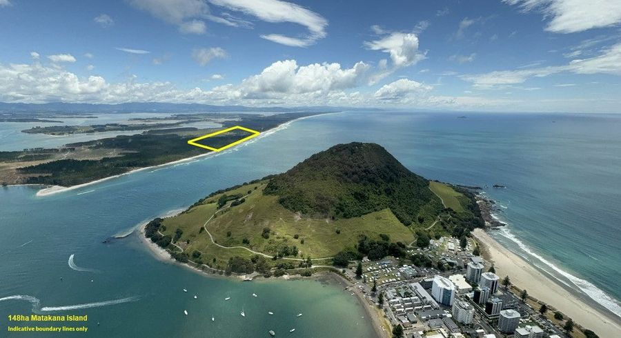  at Mount Maunganui, Tauranga, Bay Of Plenty
