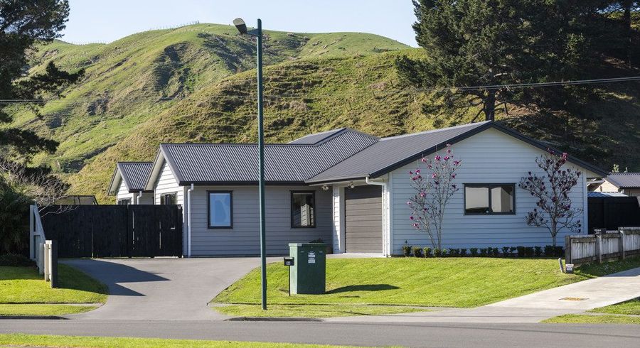  at 36 Hamilton Drive, Wainui, Gisborne