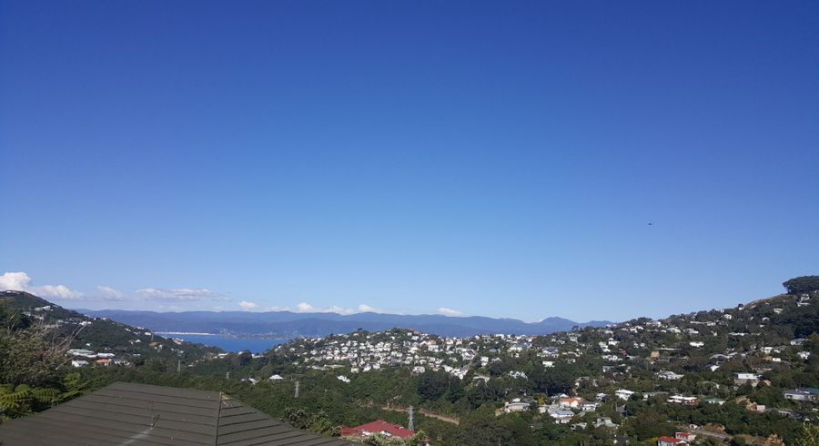  at 59 Winston Street, Crofton Downs, Wellington, Wellington