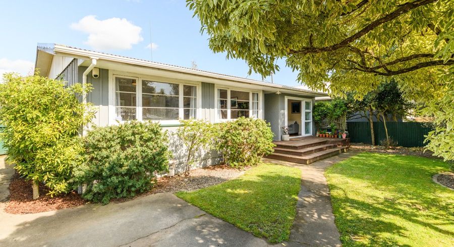  at 458 Ruahine Street, Terrace End, Palmerston North