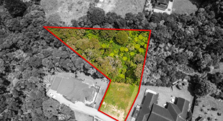  at 41B Chester Avenue, Greenhithe, North Shore City, Auckland