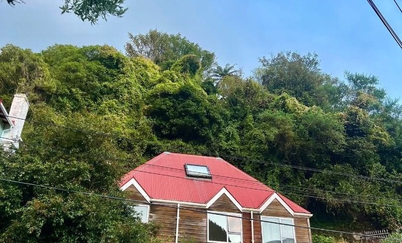  at 42 Epuni Street, Aro Valley, Wellington, Wellington