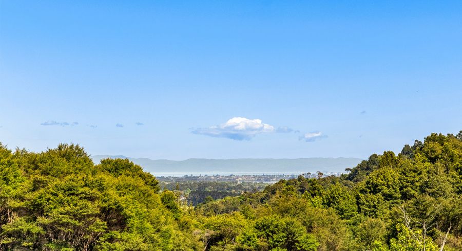  at 78 Judge Richardson Drive, Drury, Papakura, Auckland