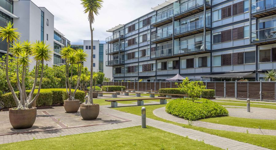  at 221/125 Customs Street, City Centre, Auckland City, Auckland