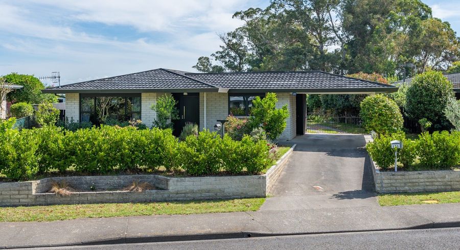  at 173 Flaxmere Avenue, Flaxmere, Hastings