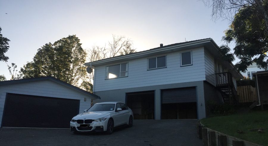  at 20 Peterhouse Pl, West Harbour, Waitakere City, Auckland