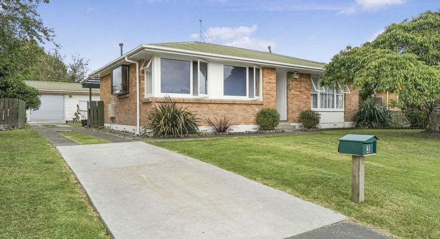  at 3 Breidis Place, Chartwell, Hamilton