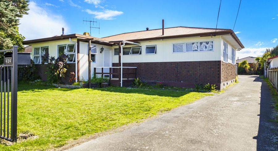  at 424 Montgomery Street, Raureka, Hastings, Hawke's Bay