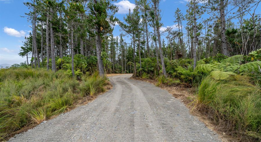 at 0 Crest Road, Te Arai, Wellsford