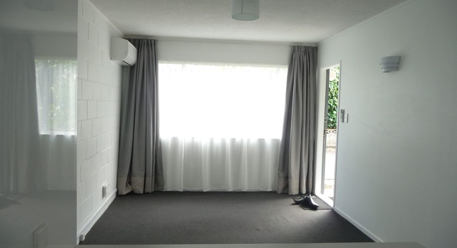  at 8/48 Esplanade Road, Mount Eden, Auckland