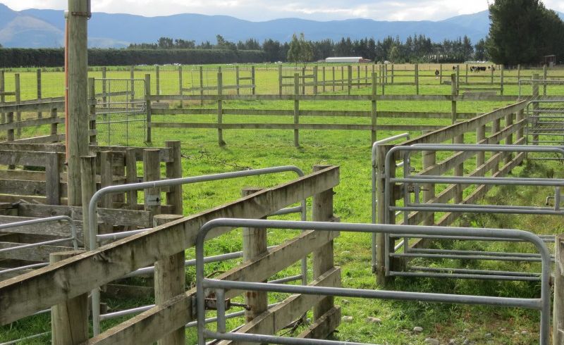  at 120 Glews Road, Cust, Rangiora