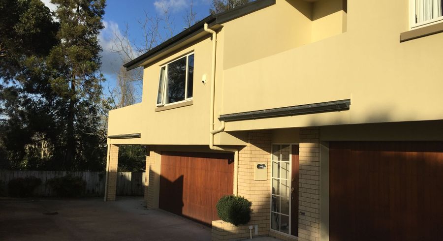  at 15E Manning Street, Hamilton City Central, Hamilton, Waikato