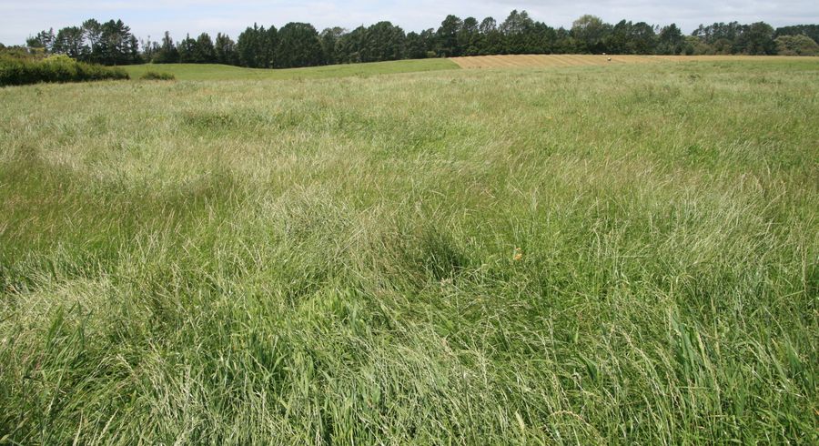  at 0 Ohanga Rd, Onaero, Urenui