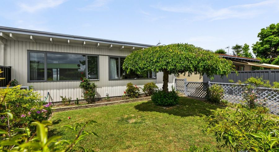  at 56 Rochester Street, Tamatea, Napier, Hawke's Bay