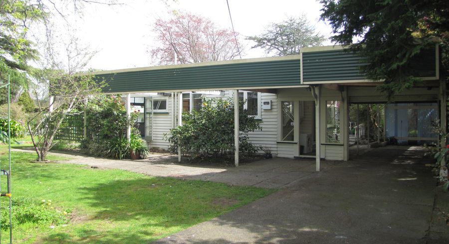  at 1 Winchester Street, Levin, Levin