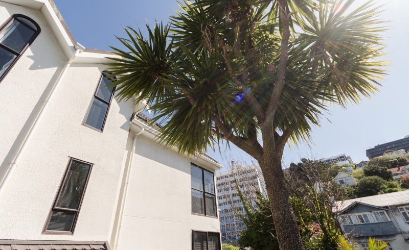  at 37 Macdonald Crescent, Te Aro, Wellington