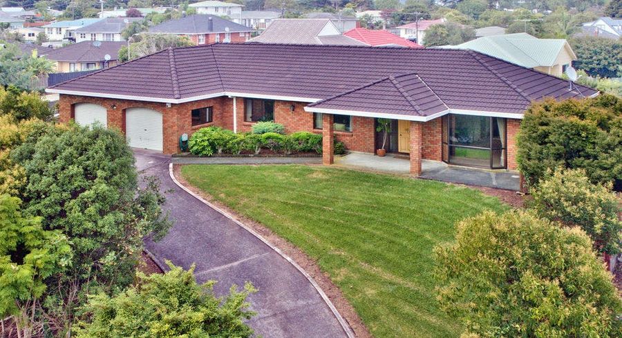  at 6 Central Park Drive, Te Atatu South, Auckland