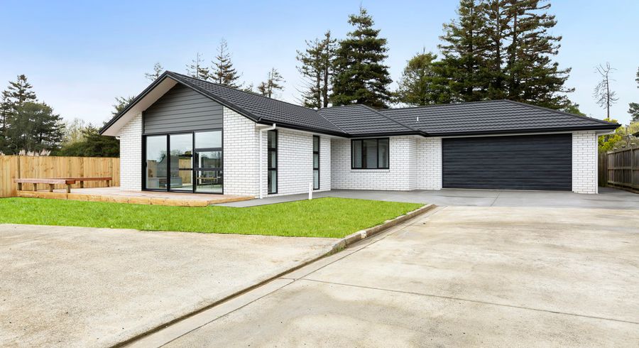  at 22 Reidy Place, Pukekohe, Pukekohe