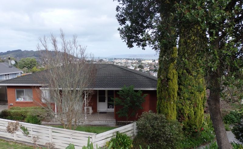  at 5 Hill Road, Whataupoko, Gisborne