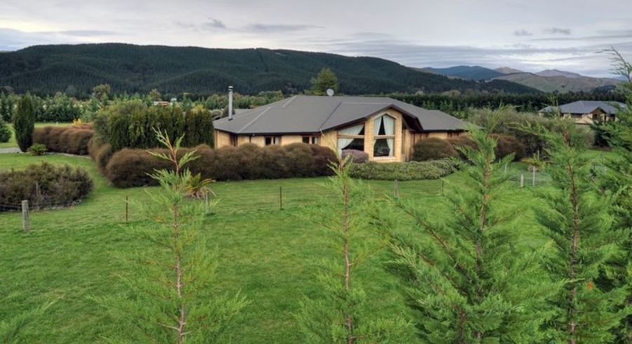  at 16 Cooper Street, Blenheim