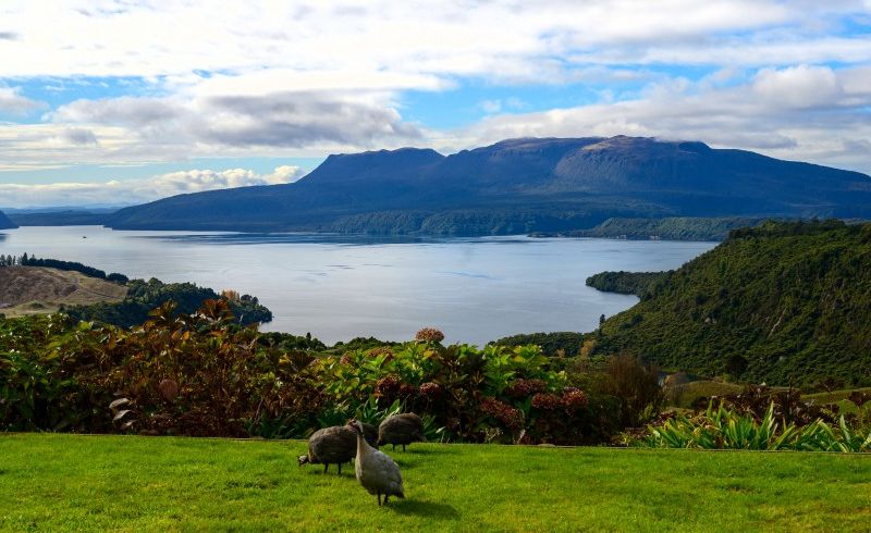  at 1064A Tarawera Road, Lake Tarawera, Rotorua