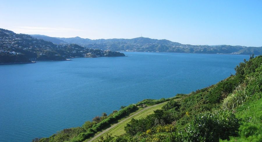  at 3/9 Rangitane Street, Maupuia, Wellington, Wellington