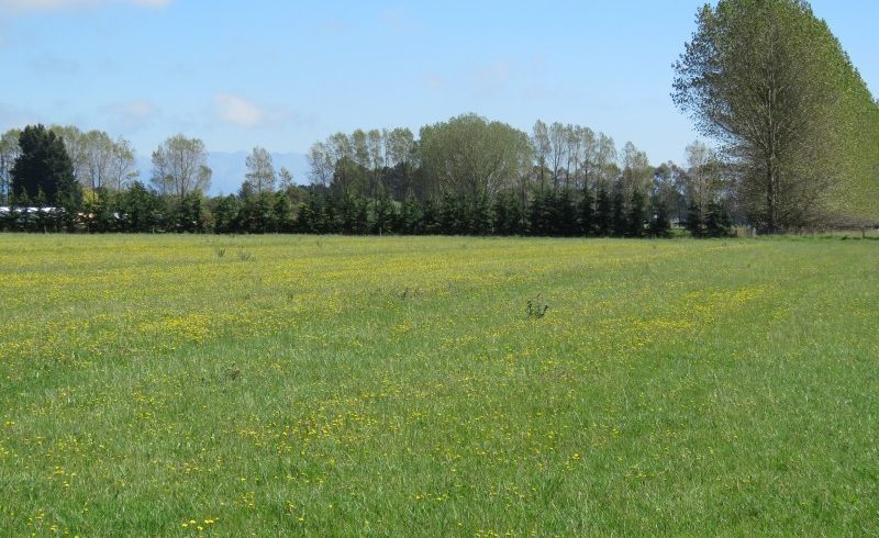  at 112C Hepburns Road, Allenton, Ashburton