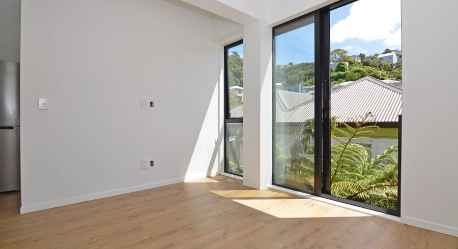  at 3b Honiana Te Puni Street, Aro Valley, Wellington, Wellington