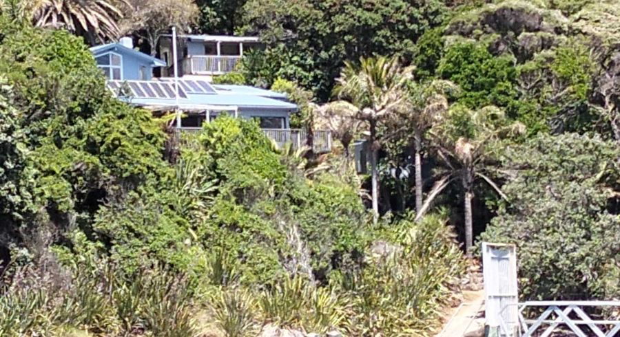  at Great Barrier Island, Hauraki Gulf Islands, Auckland