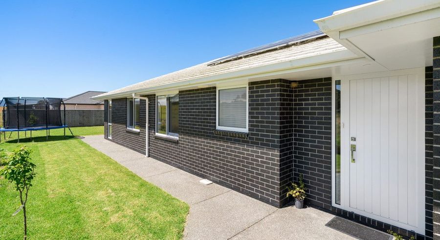  at 16 Kotare Drive, Coastlands, Whakatane