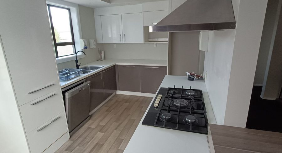  at 104 Lyttelton Street, Spreydon, Christchurch City, Canterbury