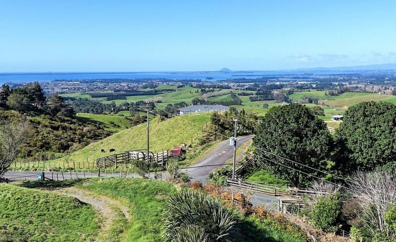  at 335 Lindemann Road, Katikati