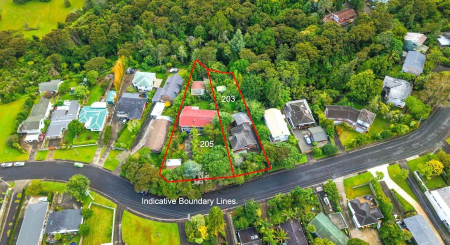  at 203 & 205 Manuka Road, Bayview, North Shore City, Auckland