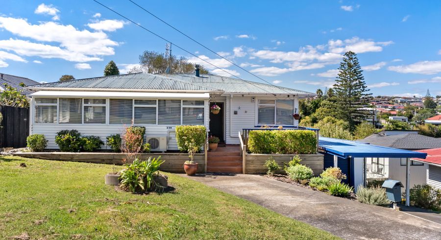  at 238 New Windsor Road, New Windsor, Auckland City, Auckland